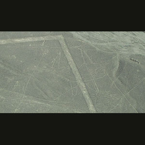 Nazca Lines -  Whale
