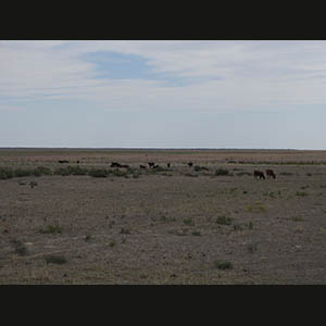 Mo‘ynoq - Lago d'Aral
