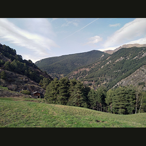 Ordino