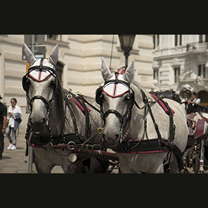 Vienna - Royal Palace