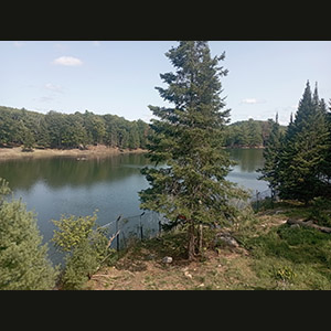 Parc Omega