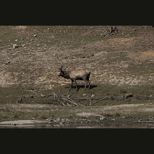 Parc Omega