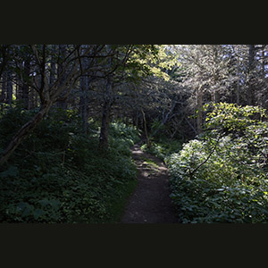 Parc national de Forillon