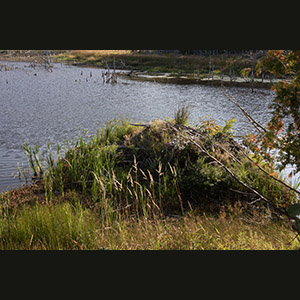 Parc national de Forillon