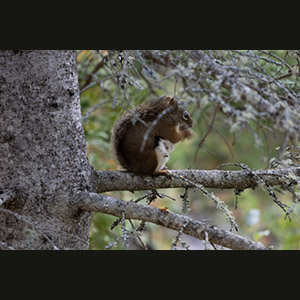 Parc national de Forillon