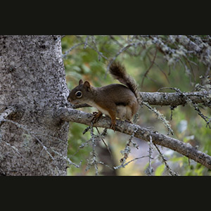 Parc national de Forillon