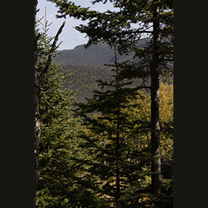 Parc national de la Gaspésie