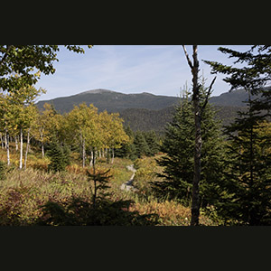 Parc national de la Gaspésie