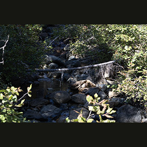 Parc national de la Gaspésie
