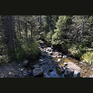 Parc national de la Gaspésie
