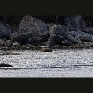 Parc national du Bic