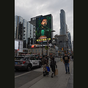 Toronto - Galleria d'Arte dell'Ontario
