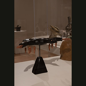 Toronto - Galleria d'Arte dell'Ontario
