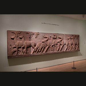 Toronto - Galleria d'Arte dell'Ontario