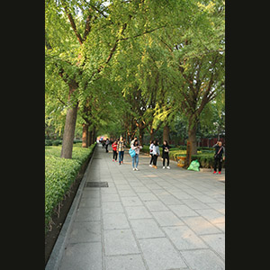 Beijing -  Yonghe Gong