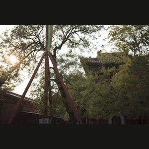 Beijing -  Yonghe Gong