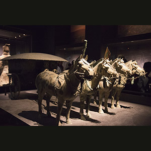 Xi'an - Shaanxi History Museum