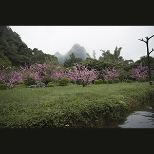 Yangshuo