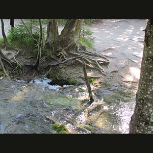 Plitvice