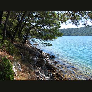 Mljet