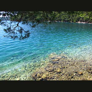 Mljet