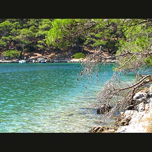 Mljet