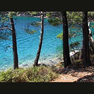 Mljet