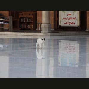 Cairo - Al-Azhar Mosque