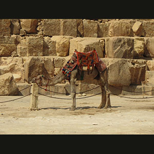 Giza
