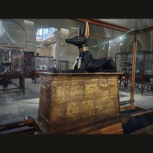 Cairo - Egyptian Museum 