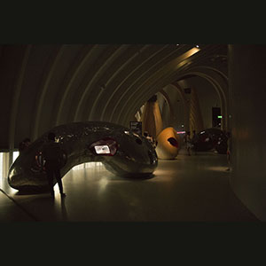 Bordeaux - Wine Museum