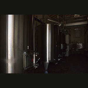 Bordeaux - Visiting a cellar