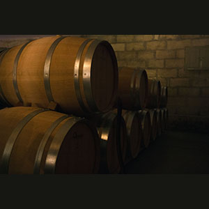 Bordeaux - Visiting a cellar