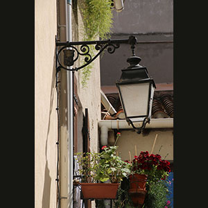 Camargue