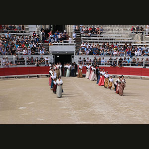 Camargue
