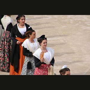 Camargue