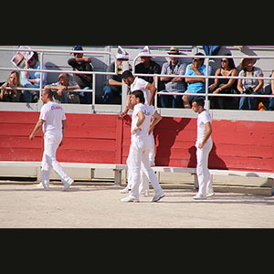 Camargue