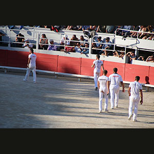 Camargue