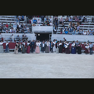Camargue