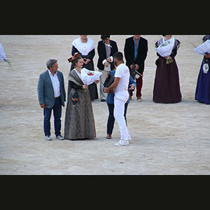 Camargue