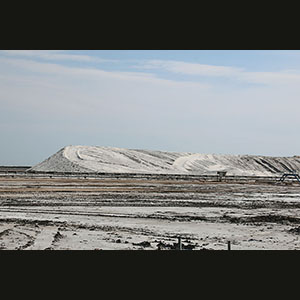 Camargue