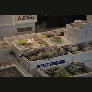Tokio