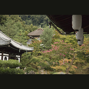 Kyoto
