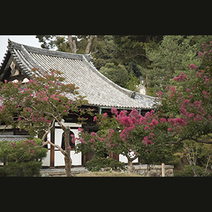 Kyoto