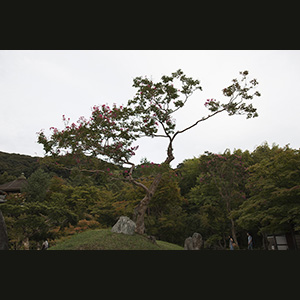 Kyoto