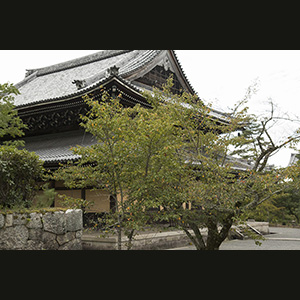 Kyoto
