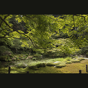 Kyoto