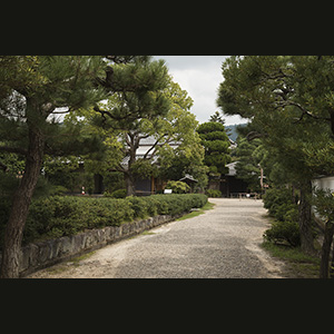 Nara