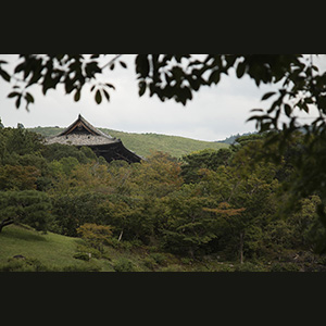 Nara