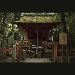 Nara
